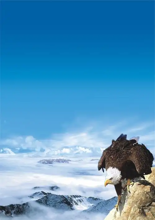 山东国诚看房